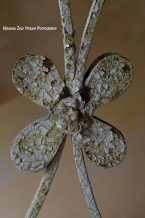 Nevenka Zajc Medica