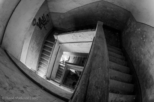 Foto: David Matković
