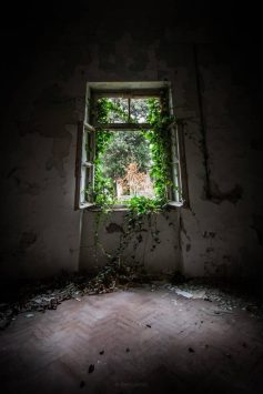 Foto: Deni Peršić